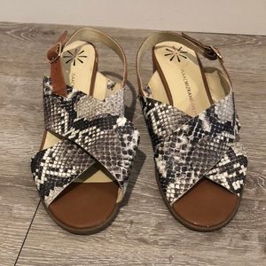 Issac Mizrah Live! Heels